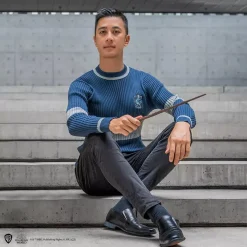 Cinereplicas Harry Potter: Pull Quidditch, Raveglaw